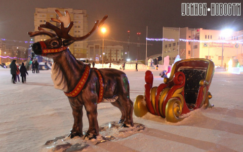 Пьяный житель Коми сломал рога новогоднему оленю