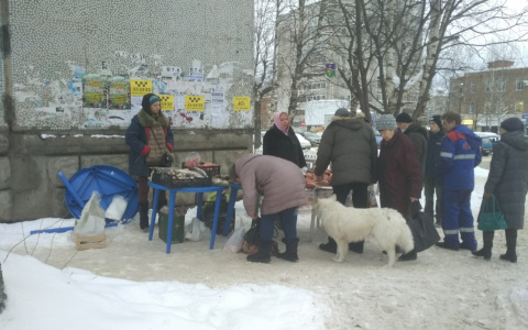 Жители Сыктывкара возмущены торговлей рыбой посреди тротуара (фото)