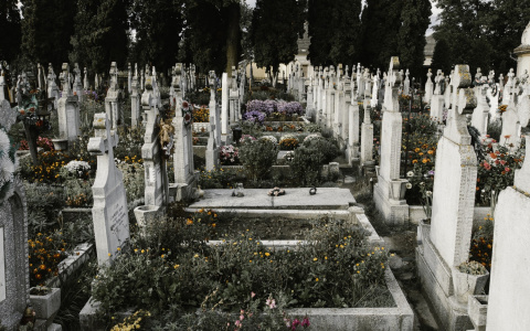 СМИ составили список знаменитостей, которые могут умереть в 2018 году