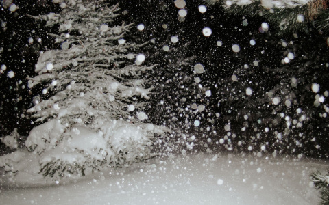 Погода в Сыктывкаре 7 января: рождественская ночь не будет тихой