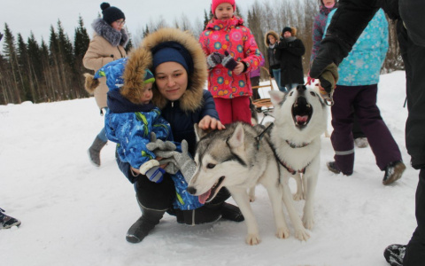 В Коми соревнования по автомногоборью прошли при участии ездовых собак