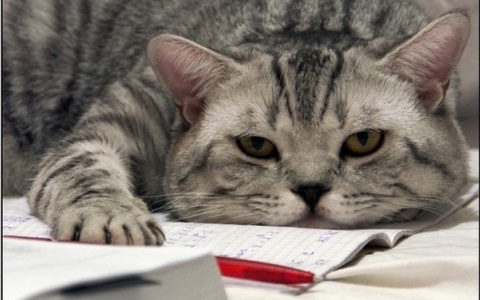 Гороскоп на 9 января: что обещают звезды в первый рабочий день этого года?