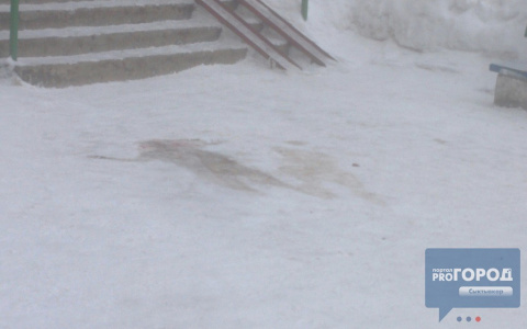 В Сыктывкаре из окна дома у Свято-Стефановского собора выпала девушка (фото)