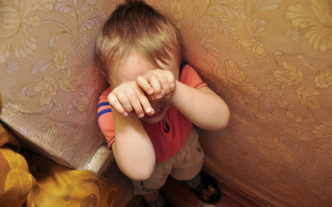 В Коми чиновники-мошенники оставили детей без детских садов