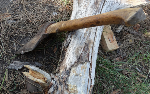 В Сыктывкаре мужчина отрубил своей любимой пальцы руки и ноги