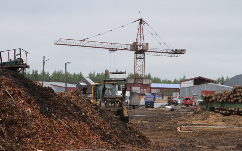 На складе пиломатериалов в Коми мужчину переехал погрузчик