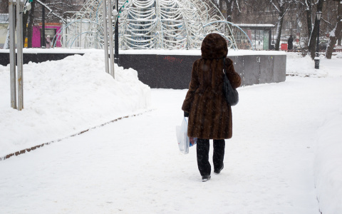 В Коми арестовали шубы на 34 миллиона рублей