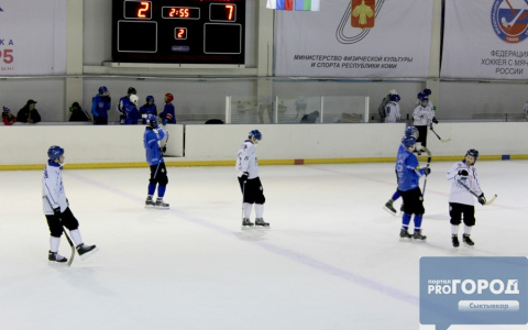 В Сыктывкаре появились детские спортшколы «Родник Севера», «Фаворит» и  «Эжва»