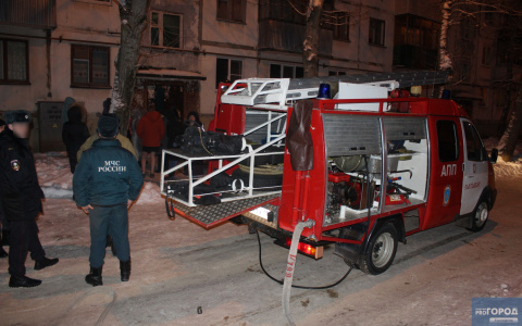 В Сыктывкаре дети устроили пожар, в котором погибла кошка (фото)