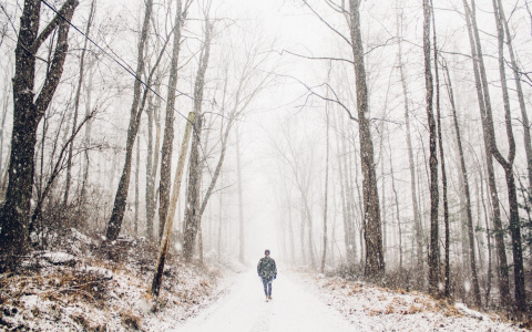Синоптики сообщили, что погода в Сыктывкаре сильно испортится
