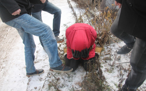 Названы самые криминальные районы Сыктывкара