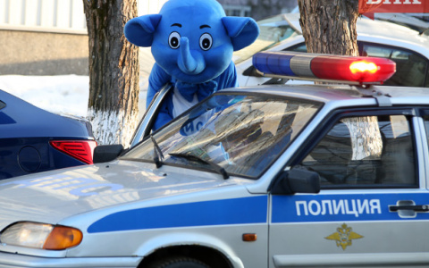 В Сыктывкаре на Стефановской площади полиция задержала слона (фото)