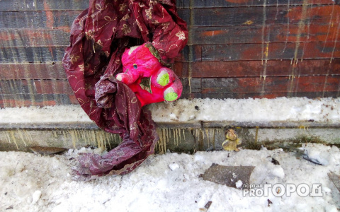 Подробный фоторепортаж с места пожара под Сыктывкаром, где погибла пятилетняя девочка