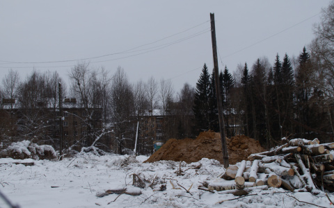 В Сыктывкаре началось благоустройство ботанического сада СГУ за 10 млн рублей (фото)