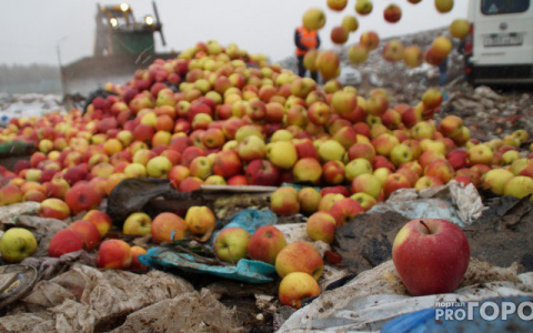 В Сыктывкаре раздавили бульдозером больше полтонны санкционных овощей и фруктов
