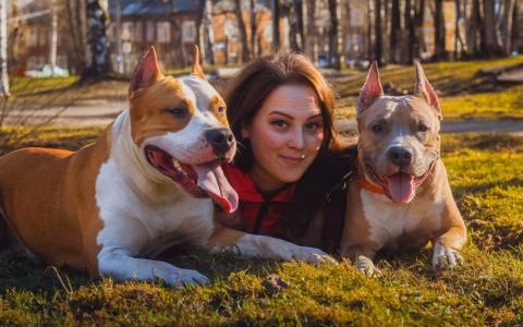 В Год собаки сыктывкарцы рассказали о своих собаках (фото)