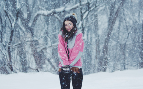 Погода в Сыктывкаре 27 января: метель уже не так страшна