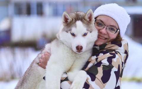 Сыктывкарцы хвастаются своими собаками
