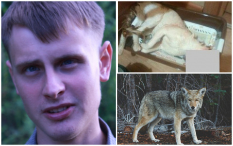 Сыктывкар за вчера: самые читаемые новости 30 января