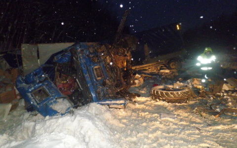 Новые подробности жесткого ДТП на трассе в Коми: водитель лесовоза скончался (фото)