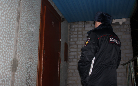 Полицейские Коми отчитались, что они сделали за прошедший год