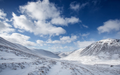 На севере Коми посреди тундры попали в беду три рыбака