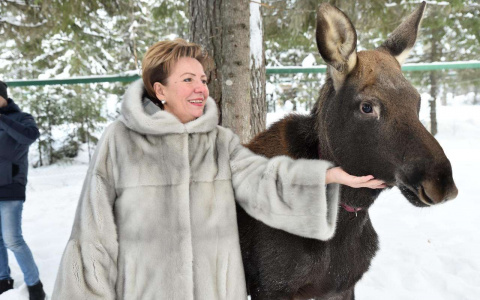 Спикер Госсовета Коми приласкала сохатого на единственной в регионе лосеферме (фото)