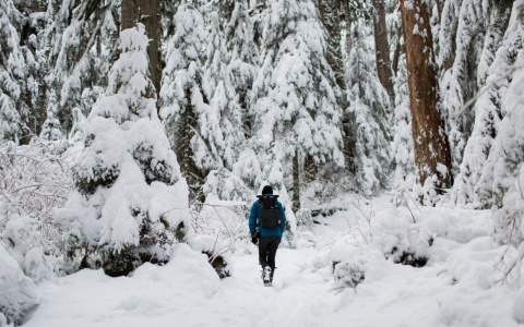 Сыктывкар завалило снегом: за три дня в столице выпала месячная норма осадков