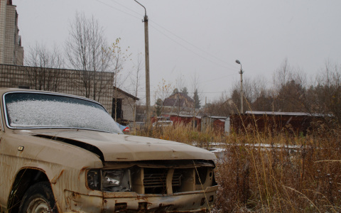 Вымирающие города и стареющее население: какое будущее ждет Республику Коми?