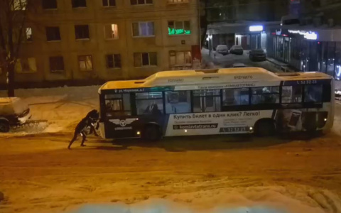 В центре Сыктывкара пассажиры сами толкали автобус, который застрял в снежной каше (видео)