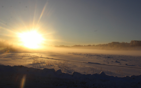 Стало известно, сколько мигрантов проживает в Коми