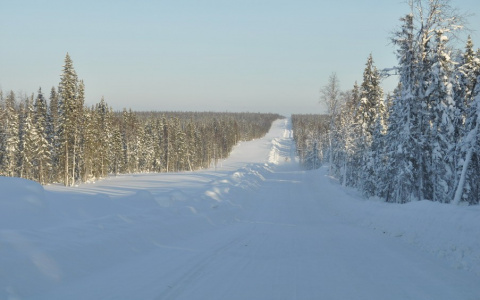 В Коми двое мужчин замерзали на глухой дороге после ДТП