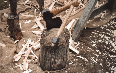 В Костроме судят маньяка из Коми, который зарубил топором человека