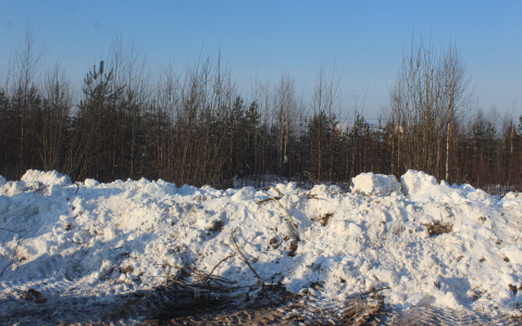 В Сыктывкаре участковый врач снял на видео, как пробирается к пациентам через сугробы