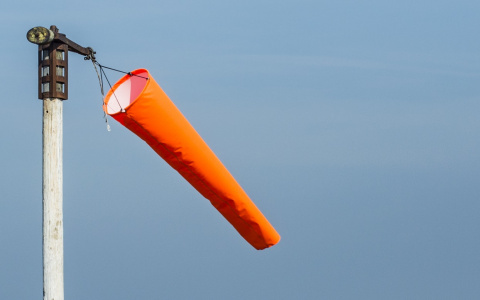 Погода в Сыктывкаре 10 февраля: южный ветер ленив, как никогда