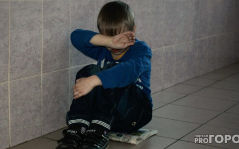 В Эжвинском районе Сыктывкара мать издевалась над своим 8-летним сыном