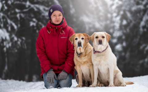 В конкурсе «Символ года» началось народное голосование