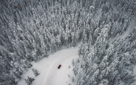 Синоптики рассказали, придет ли в Коми весна в феврале