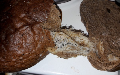 Житель Коми обнаружил в буханке хлеба отвратительную «начинку» (фото)