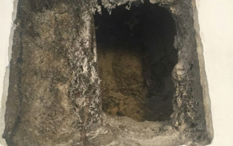 В Сыктывкаре нашли мумии птиц в вытяжке при ремонте кухни