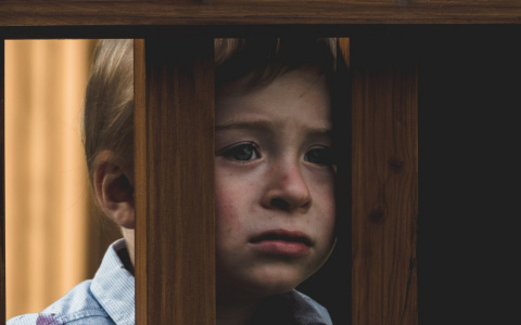 Появились неожиданные подробности о сборе средств для мальчика из Коми, которому воткнули ручку в глаз (видео)