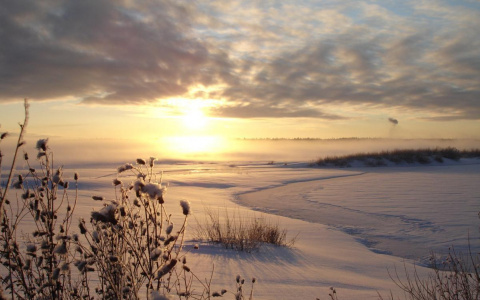 Погода в Сыктывкаре 16 февраля:  прохладно, но солнечно