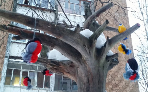 В Сыктывкаре появилось новое место, где можно сделать красивые и оригинальные фото