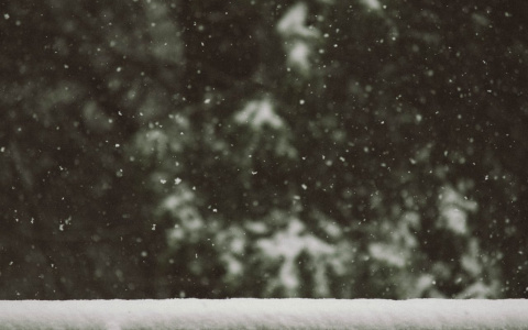 Погода в Сыктывкаре 18 февраля: неужели опять снег?