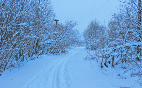 В Коми медики не смогли эвакуировать с трассы лыжника с переломом ноги