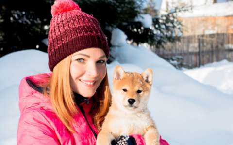 Стали известны имена пяти победителей в конкурсе «Символ года»