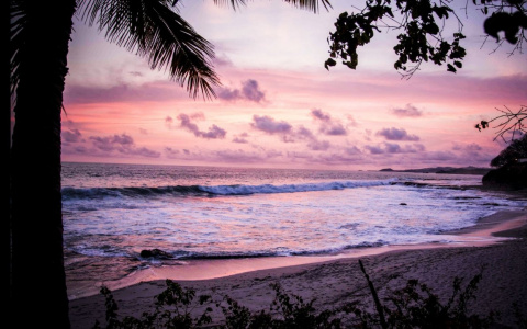 Сыктывкарский врач, который спас десятки жизней, утонул во время отдыха в Таиланде