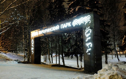 Глава Коми Сергей Гапликов назвал обновленный Мичуринский парк убожеством