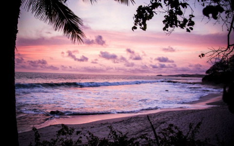 Сыктывкар за вчера: самые читаемые новости 21 февраля