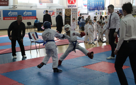 «Дави его!»: первые победы и поражения на турнире «Белые ходоки» в Сыктывкаре